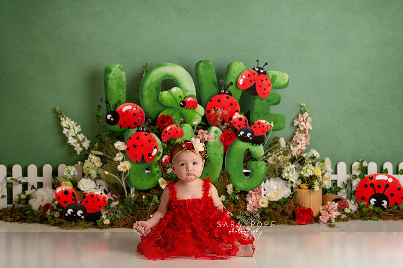 Love Bug Ladybug - HSD Photography Backdrops 