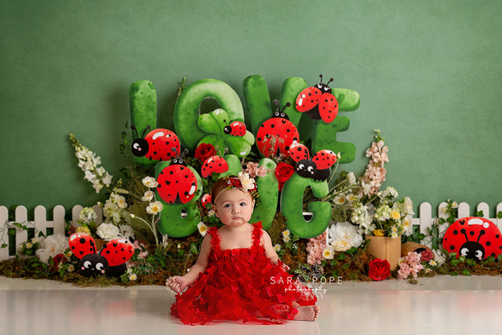 Love Bug Ladybug - HSD Photography Backdrops 