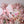 Large Pink Bow Cake Smash Birthday Photography Backdrop for Girls