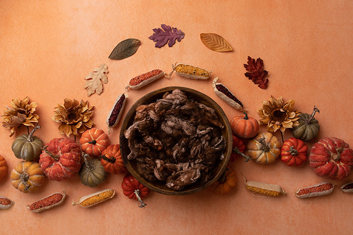 Autumn Harvest | Newborn Digital - HSD Photography Backdrops 