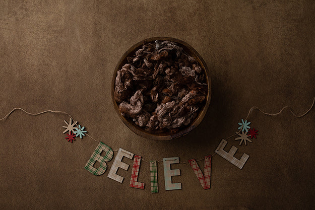 Believe Banner | Nutcracker on Ice Coll. | Digital - HSD Photography Backdrops 