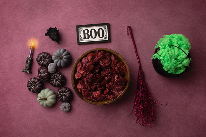 Boo Bash | Newborn Digital - HSD Photography Backdrops 