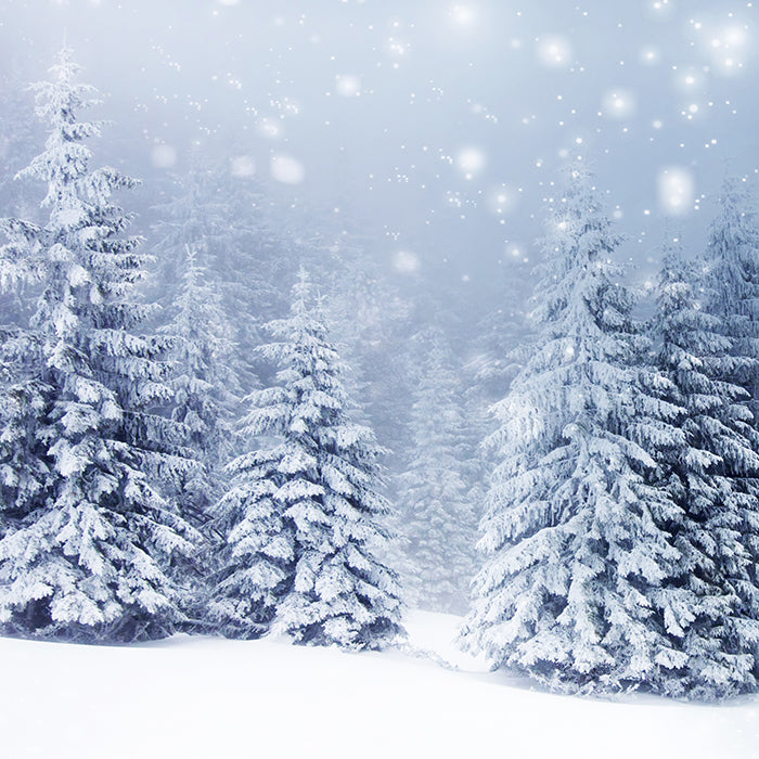 Winter Fir Trees - HSD Photography Backdrops 