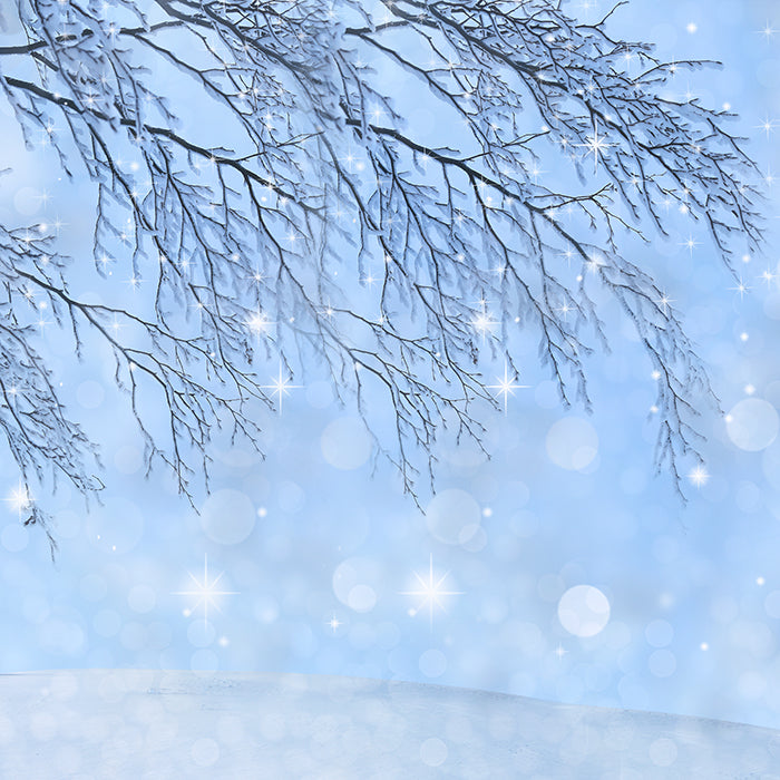 Holiday | Frost - HSD Photography Backdrops 