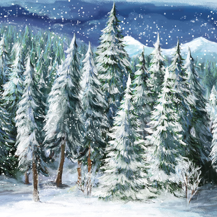 Winter Woods - HSD Photography Backdrops 