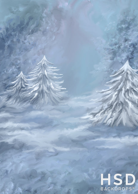 Winterland - HSD Photography Backdrops 