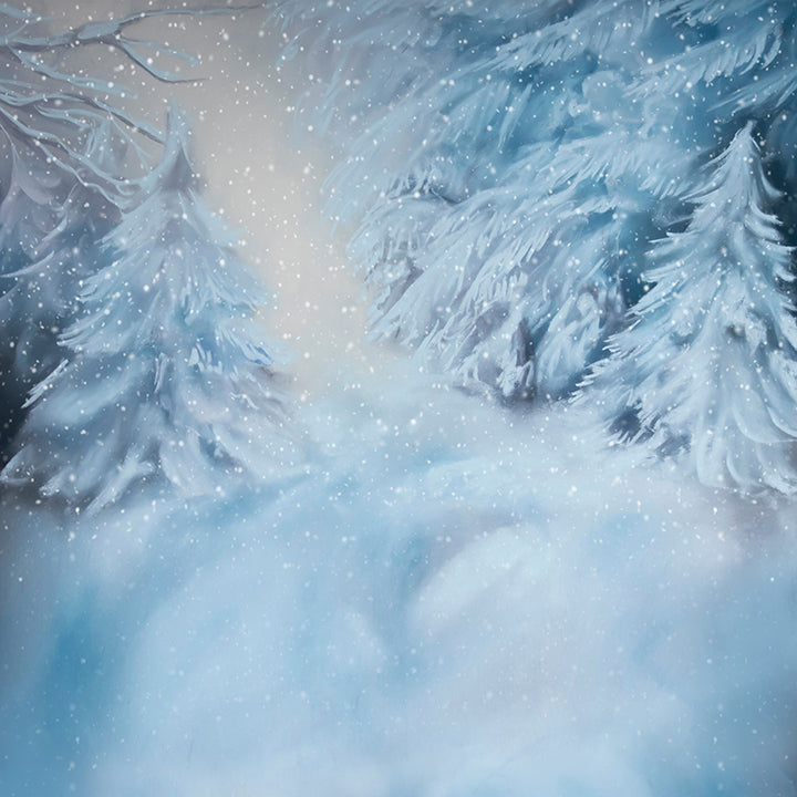 Winter Spruce - HSD Photography Backdrops 