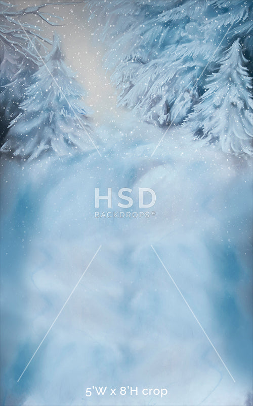 Winter Spruce - HSD Photography Backdrops 