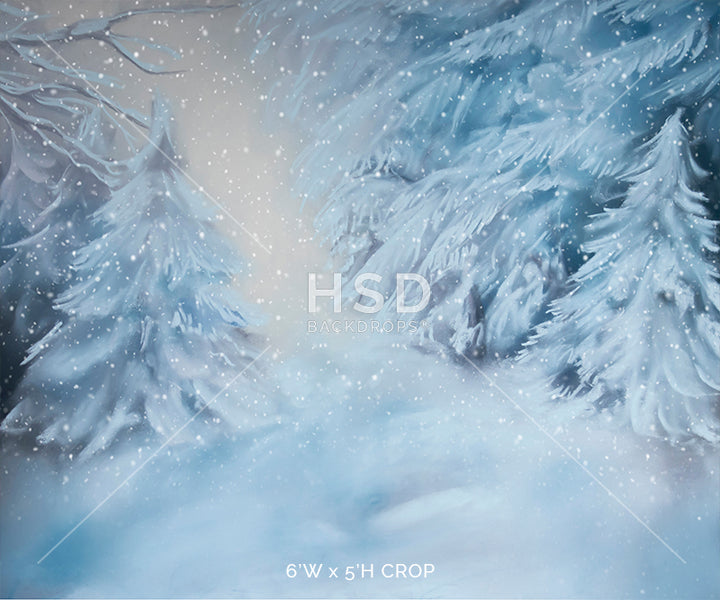 Winter Spruce - HSD Photography Backdrops 