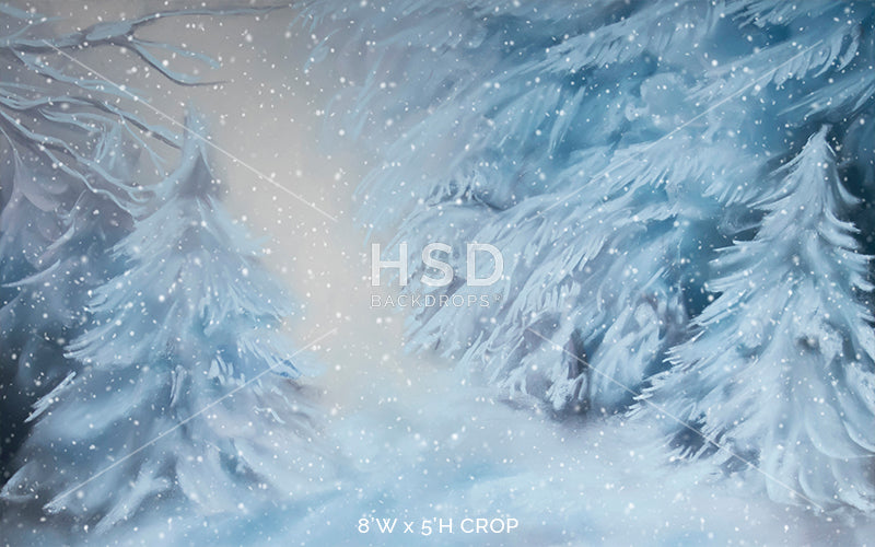 Winter Spruce - HSD Photography Backdrops 