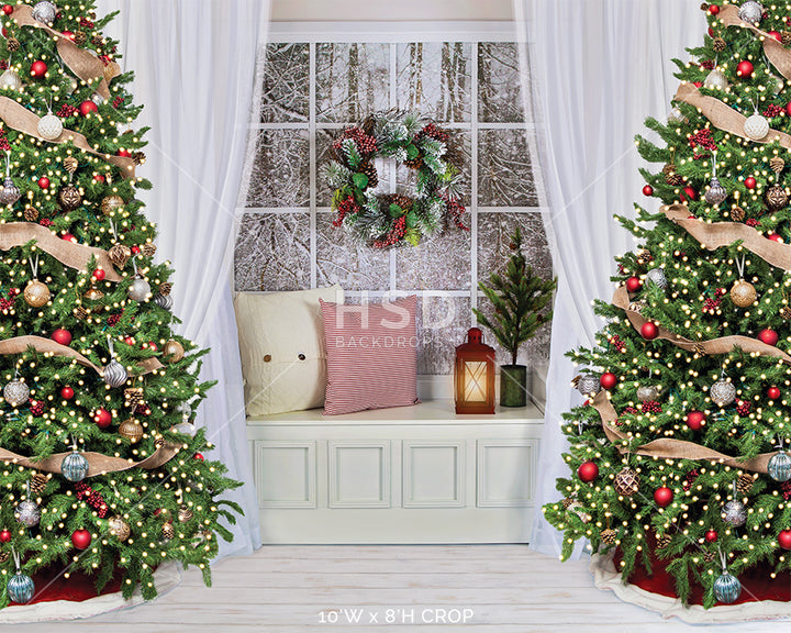 Winter Christmas Window - HSD Photography Backdrops 