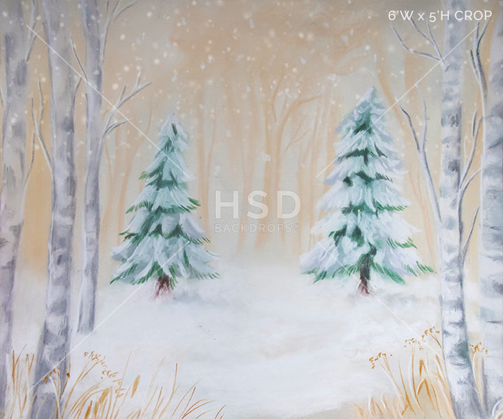 Donnelly - HSD Photography Backdrops 