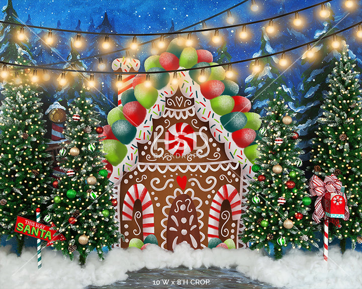 Gingerbread House Winter Wonderland - HSD Photography Backdrops 