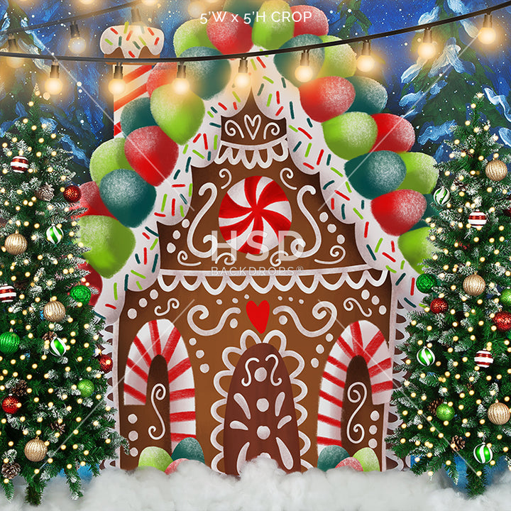 Gingerbread House Winter Wonderland - HSD Photography Backdrops 