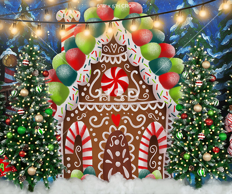 Gingerbread House Winter Wonderland - HSD Photography Backdrops 