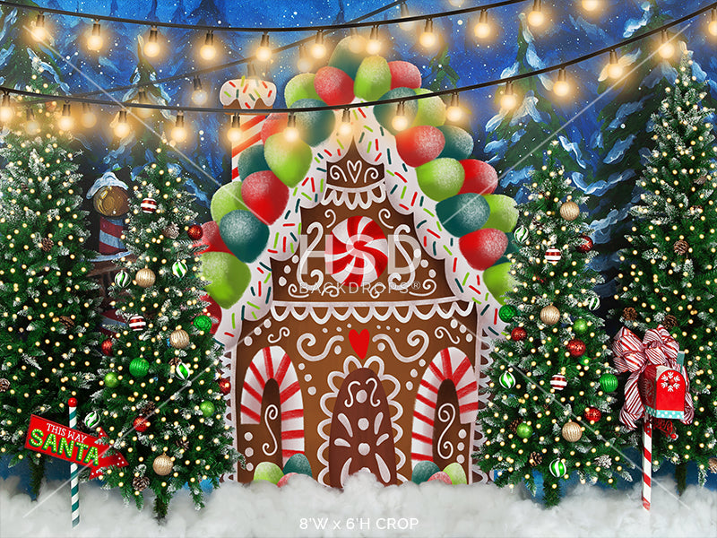 Gingerbread House Winter Wonderland - HSD Photography Backdrops 