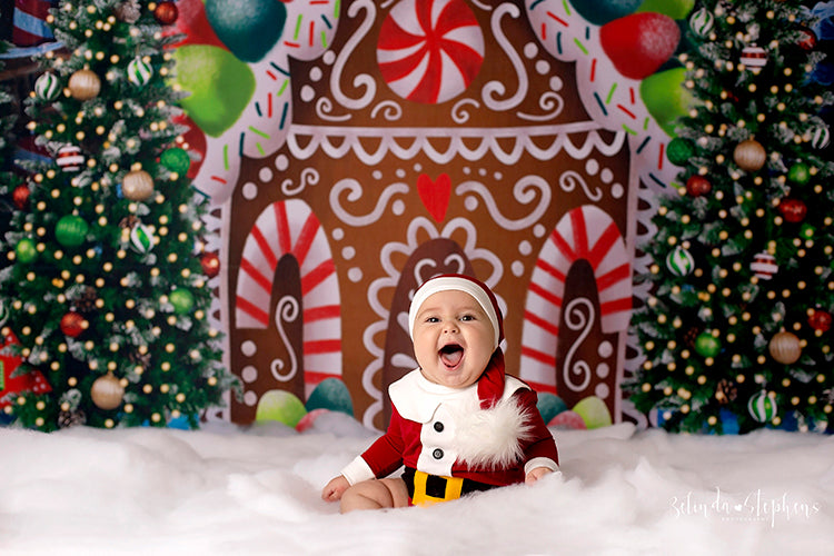 Gingerbread House Winter Wonderland - HSD Photography Backdrops 