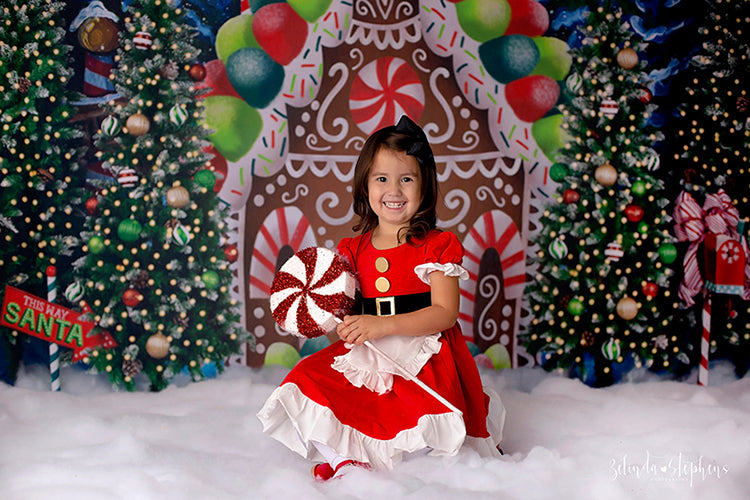 Gingerbread House Winter Wonderland - HSD Photography Backdrops 