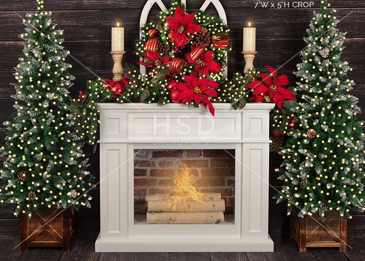 Christmas Poinsettias (small) - HSD Photography Backdrops 