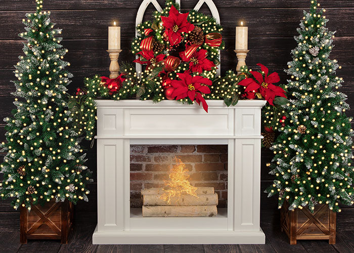 Christmas Poinsettias (small) - HSD Photography Backdrops 