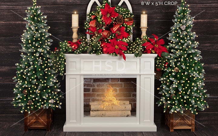 Christmas Poinsettias (small) - HSD Photography Backdrops 