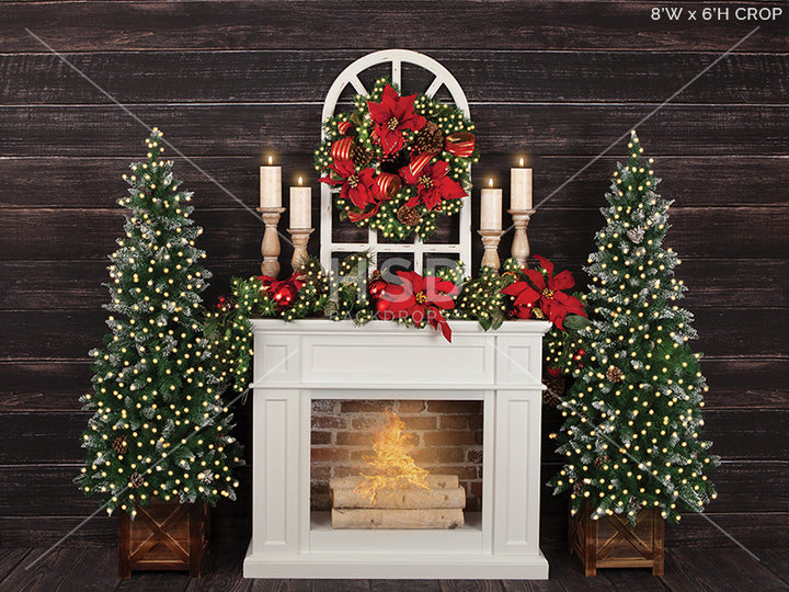 Christmas Poinsettias (large) - HSD Photography Backdrops 