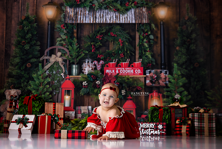 Christmas Stand - HSD Photography Backdrops 