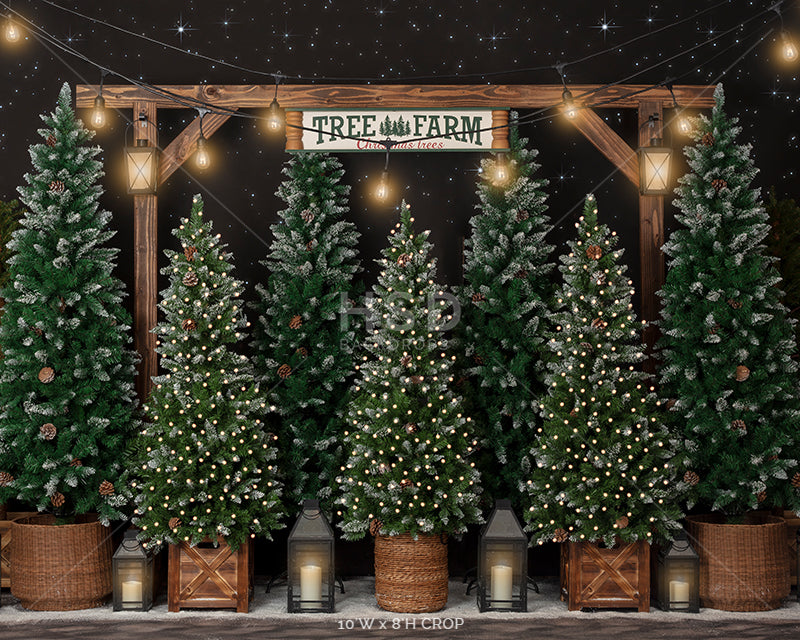 Tree Farm Under the Stars - HSD Photography Backdrops 