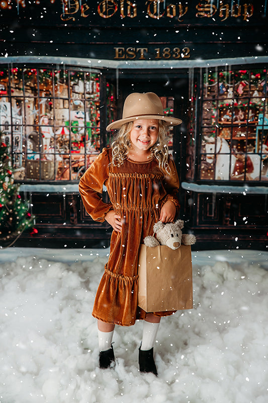 Old Toy Shop - HSD Photography Backdrops 