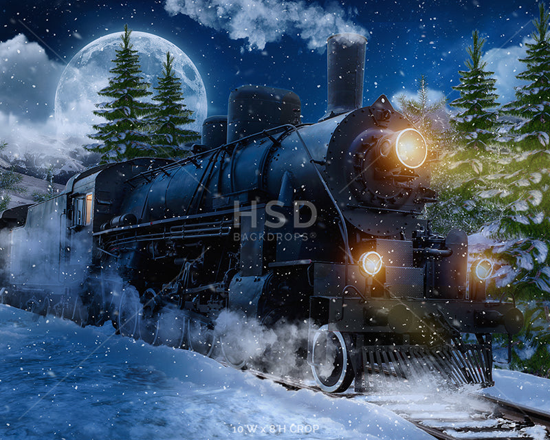 Winter Express Train - HSD Photography Backdrops 