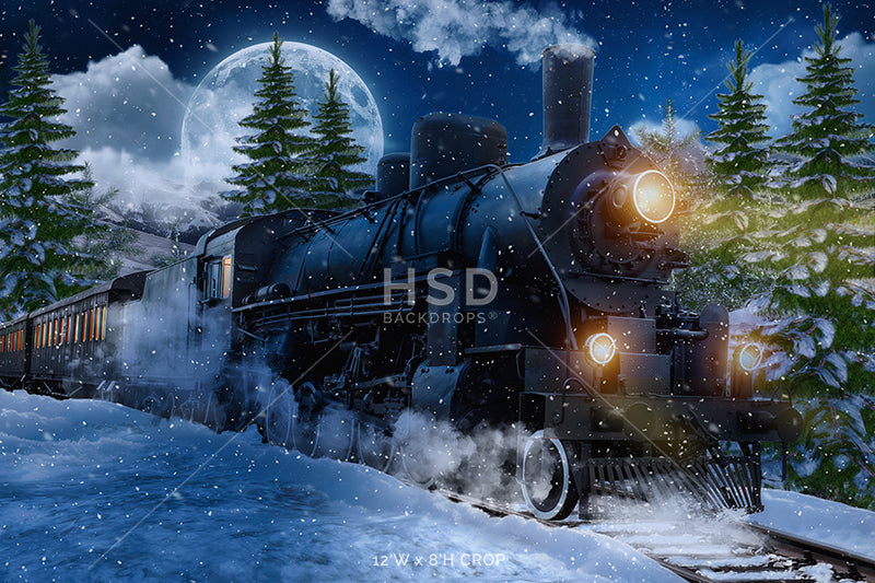 Winter Express Train - HSD Photography Backdrops 