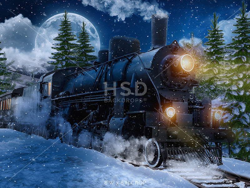 Winter Express Train - HSD Photography Backdrops 