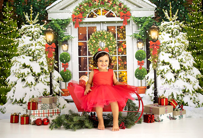 Snowy Christmas Scene - HSD Photography Backdrops 