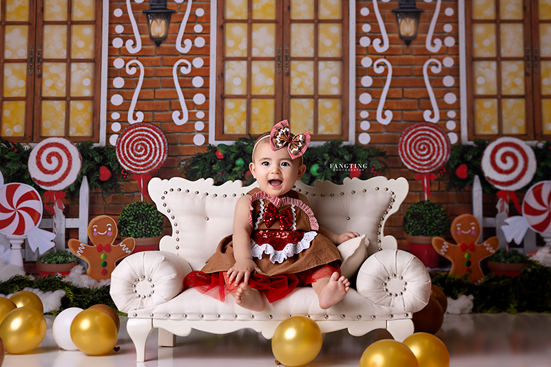 Gingerbread House Wall - HSD Photography Backdrops 