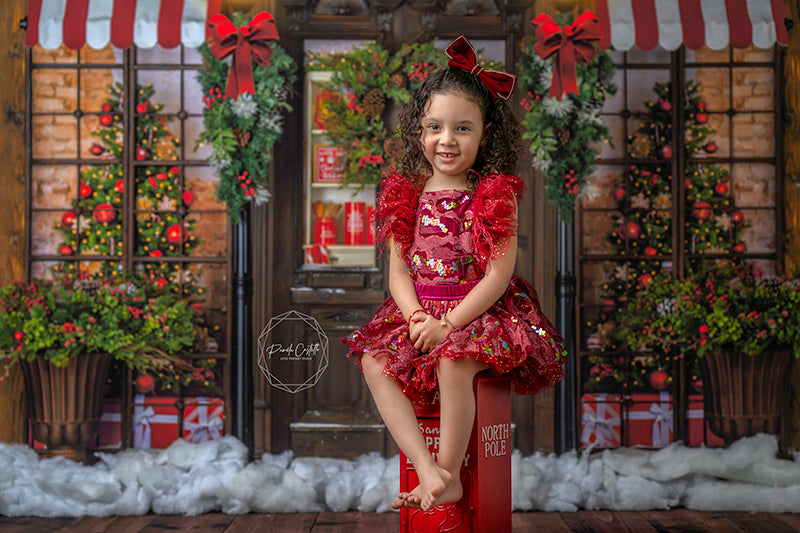 Merry Christmas Lane - HSD Photography Backdrops 