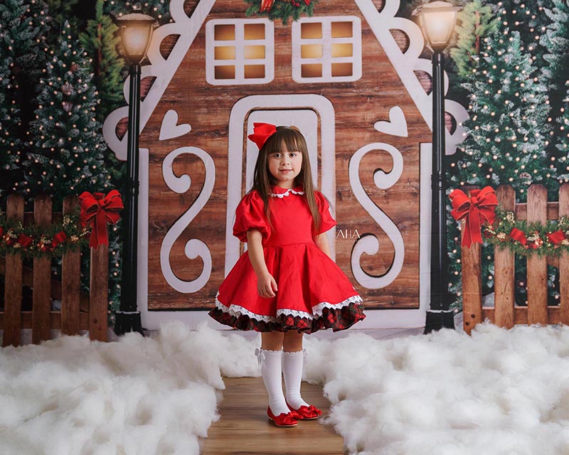 Gingerbread Lane - HSD Photography Backdrops 