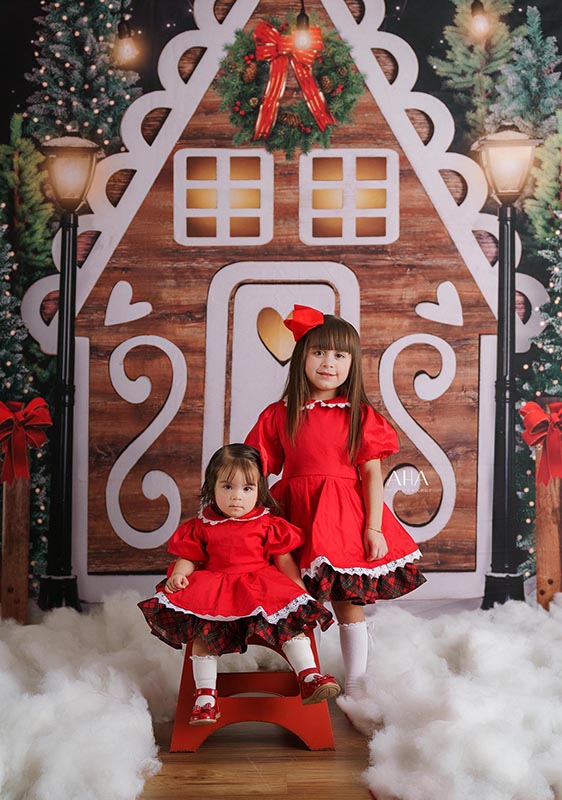 Gingerbread Lane - HSD Photography Backdrops 