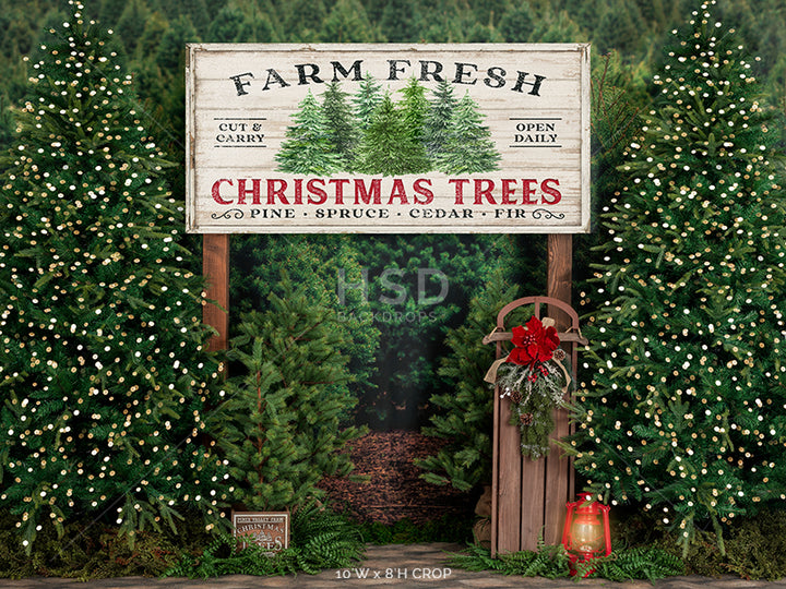 Farm Free Christmas Trees (decorated) - HSD Photography Backdrops 