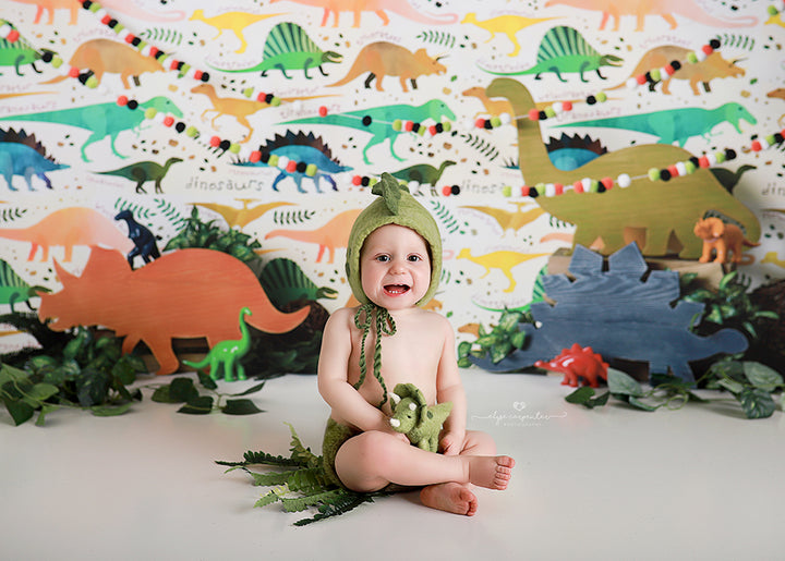 Dinosaur Set Up - HSD Photography Backdrops 