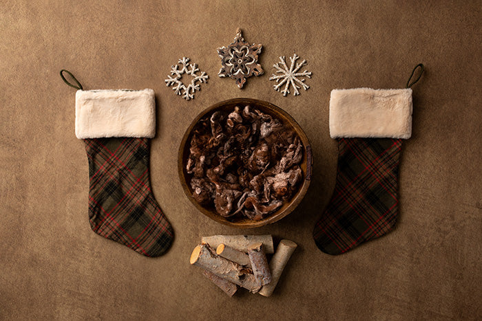 Cozy Rustic Christmas | Digital - HSD Photography Backdrops 