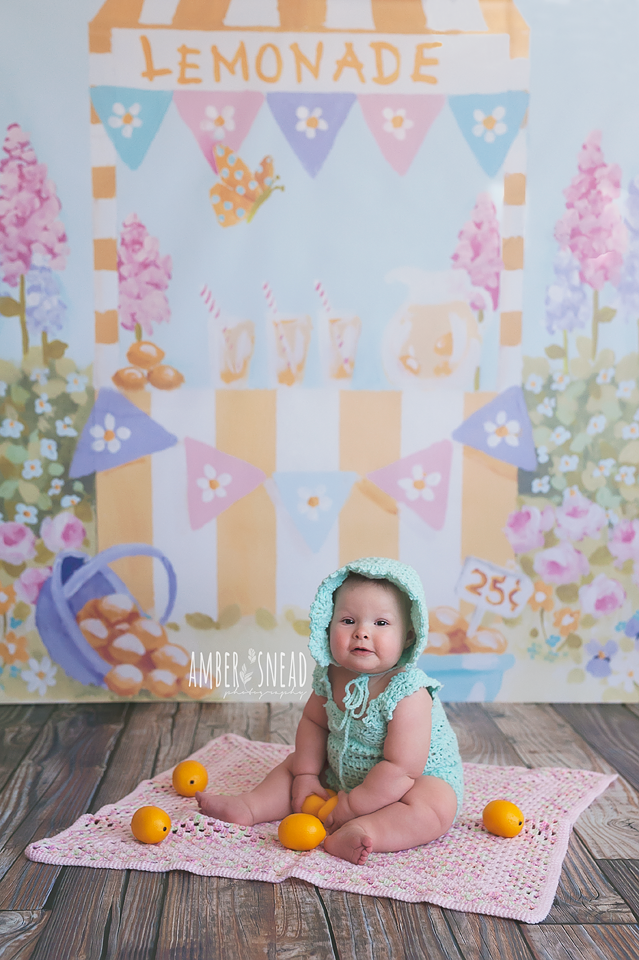 Lemonade Stand - HSD Photography Backdrops 