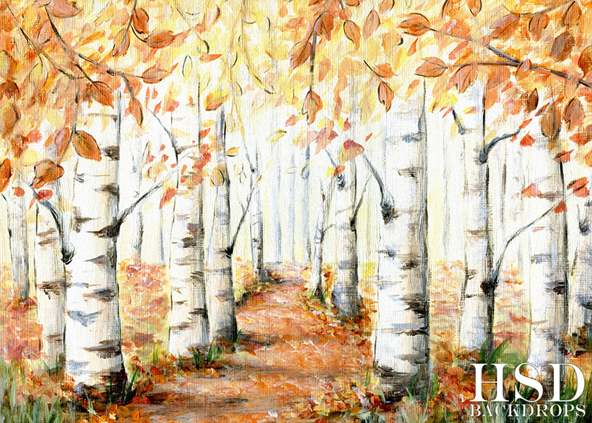 Autumn Birch Trees - HSD Photography Backdrops 