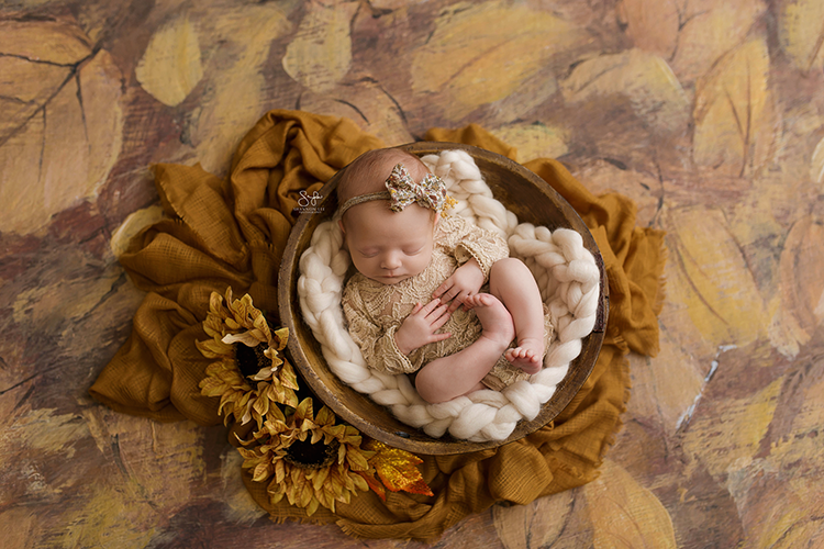 Covered in Leaves - HSD Photography Backdrops 