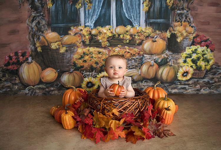 Fall Window - HSD Photography Backdrops 