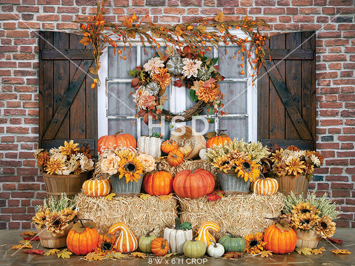 Fall on the Farmstead - HSD Photography Backdrops 