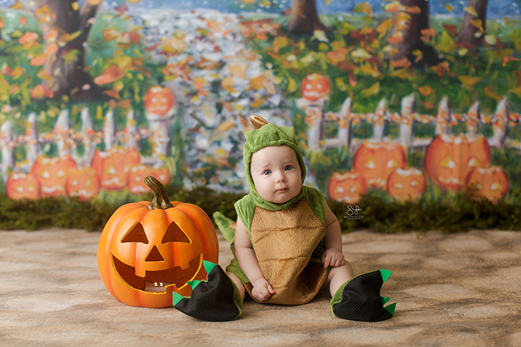 Halloween Stroll - HSD Photography Backdrops 