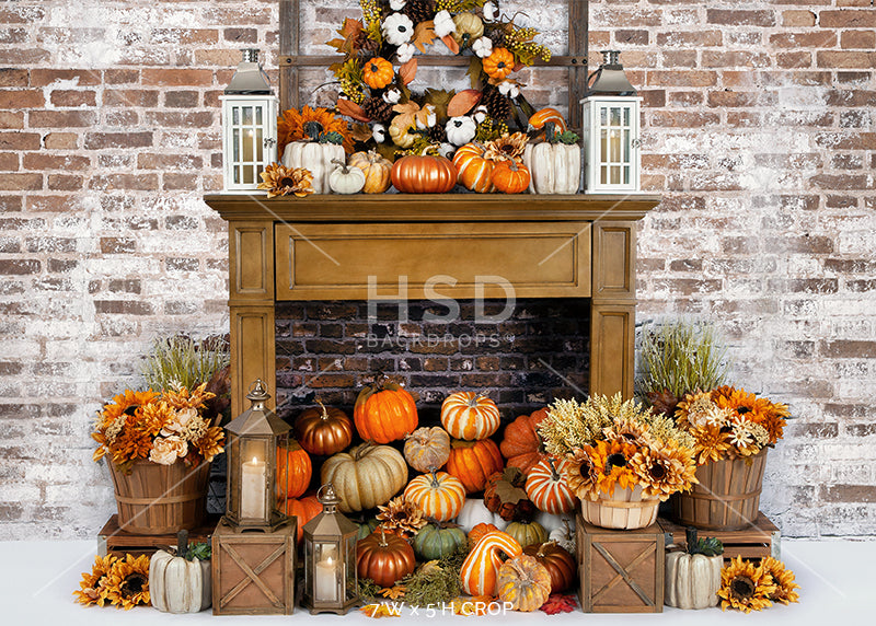 Cozy Autumn days - HSD Photography Backdrops 