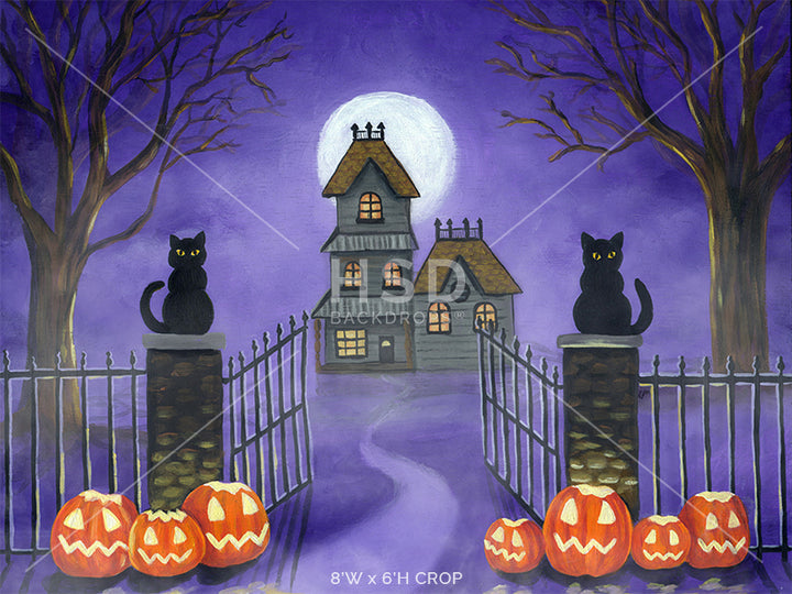 Welcome Halloween - HSD Photography Backdrops 