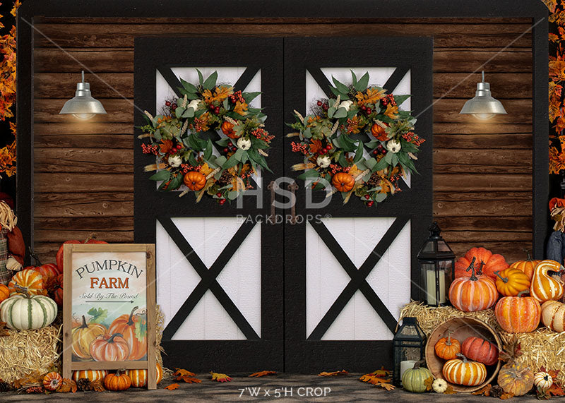 Pumpkin Patch Barn - HSD Photography Backdrops 