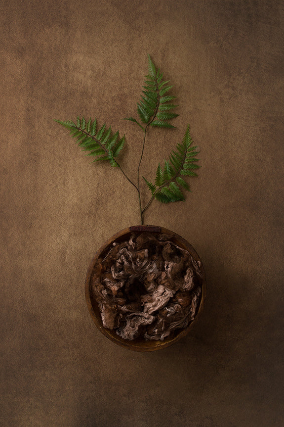 Fern Coll. | Digital - HSD Photography Backdrops 